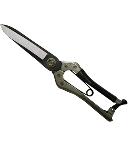 Amazon | 豊稔光山作 両刃剪定鋏(かぼちゃ鋏) 皮止 HT-2556 | 園芸用はさみ